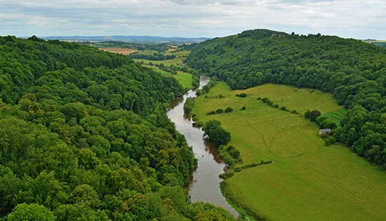 view of the royal forest of dean
