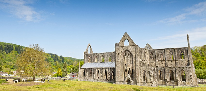 view of tintern abbey ross on wye