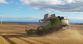 combine harvester in field