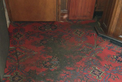 Carpet Cleaning. Before