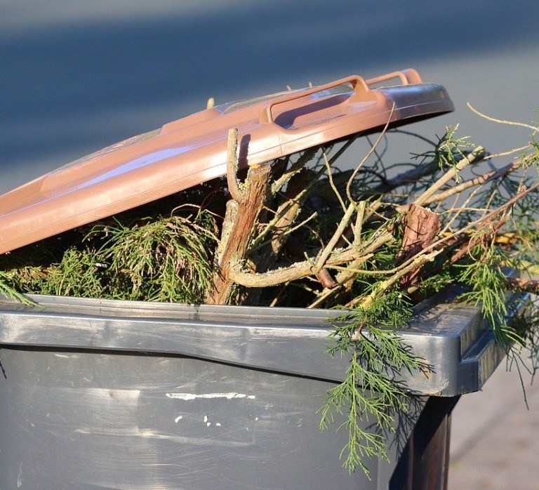 organic waste