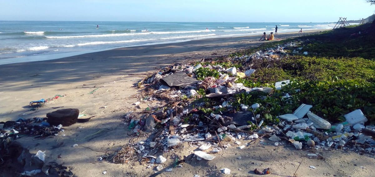 What Are The Types Of Household Waste Image