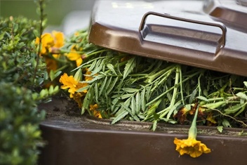 garden waste being disposed in a bin