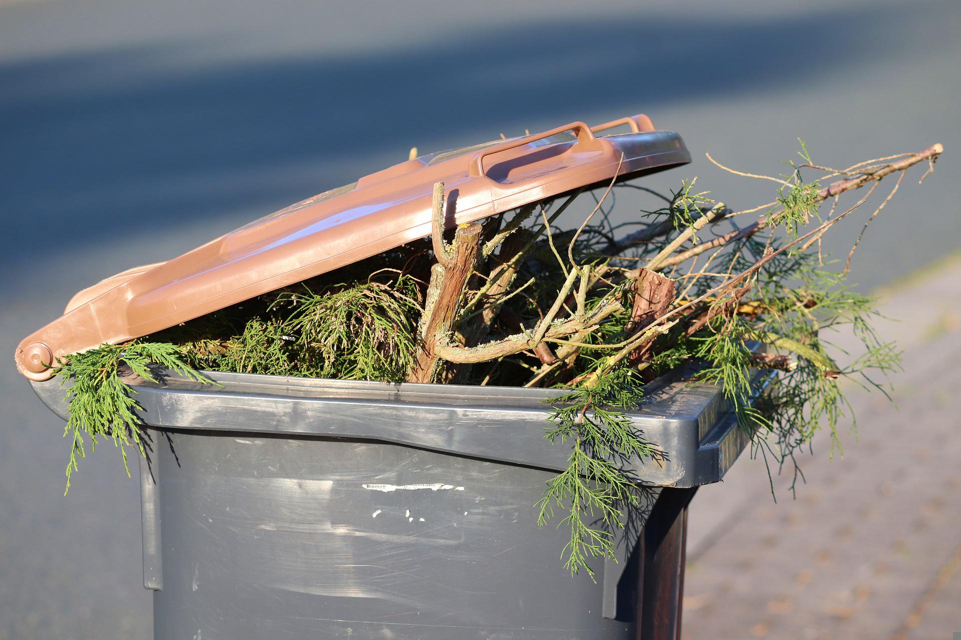 Gillingham Garden Waste Clearance