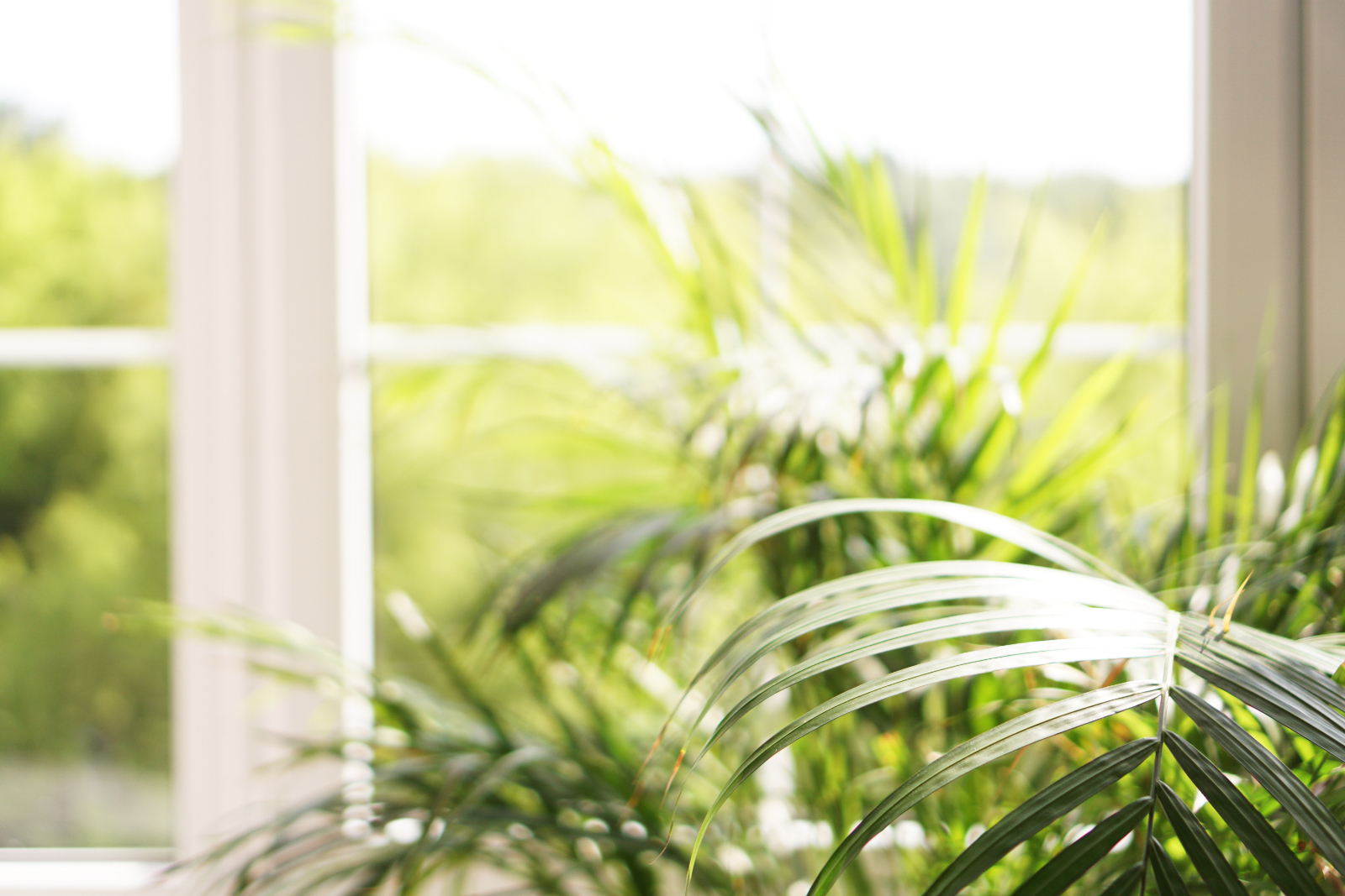 CONSERVATORY INSULATION SPECIALISTS UK