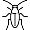 Cockroach Removal