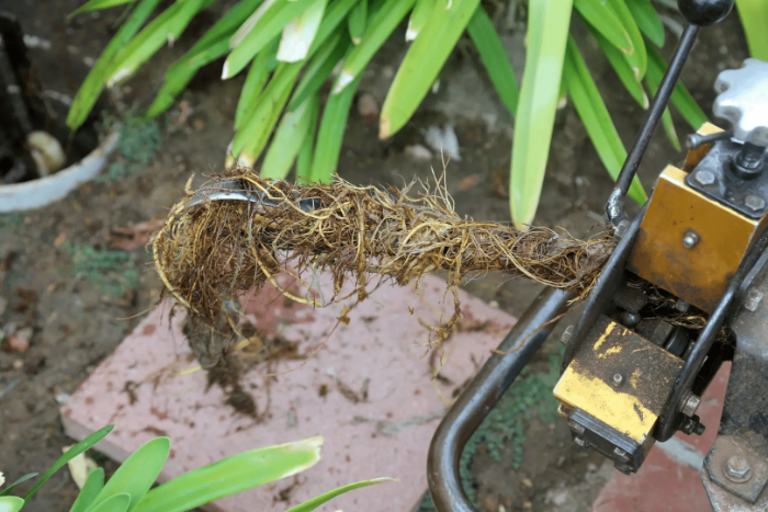 Debris from drain - Chorley Drain Unblocking