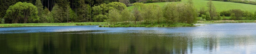 Wildlife and Animal Attractions Wildlife and Animal Attractions