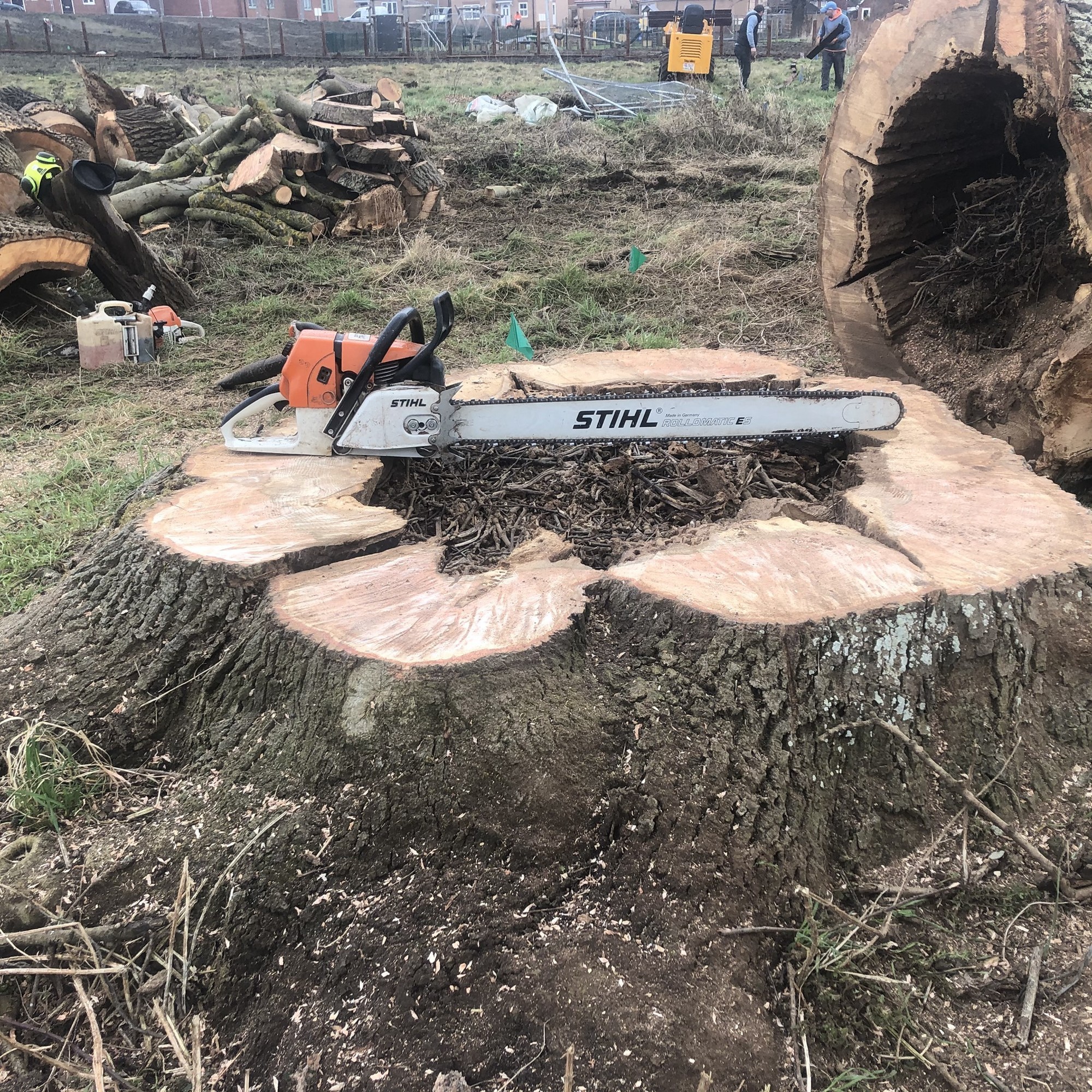 What is Commercial Tree Care What is Commercial Tree Care