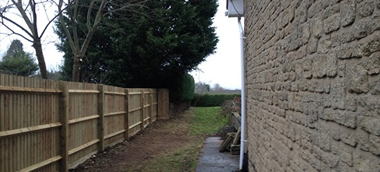 Hedge and Shrub Removal Northampton, Milton Keynes, Bedford