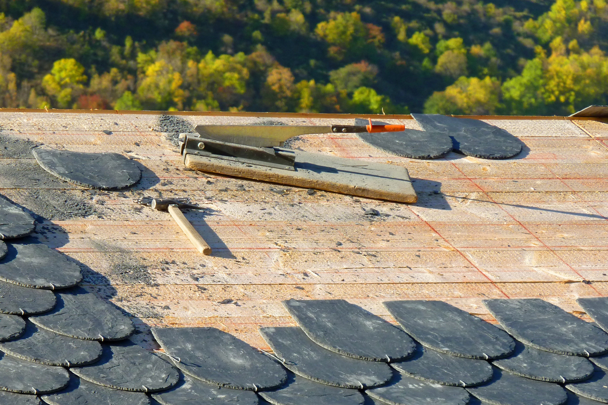 Roof maintenance