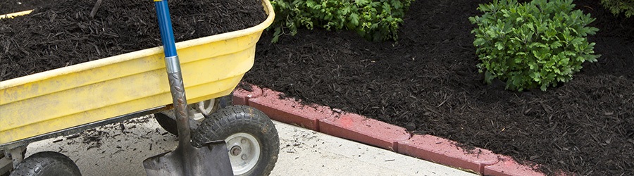 Prepare your Garden for Winter Prepare your Garden for Winter