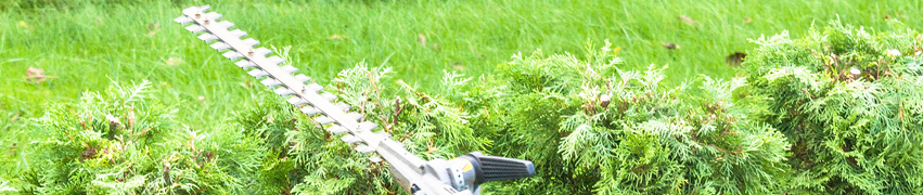 Tips for soft Landscaping Tips for soft Landscaping