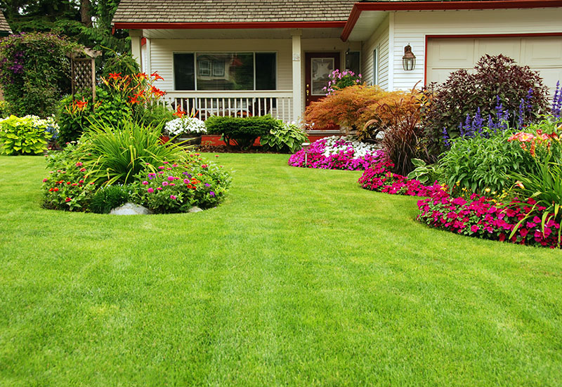 what is landscaping