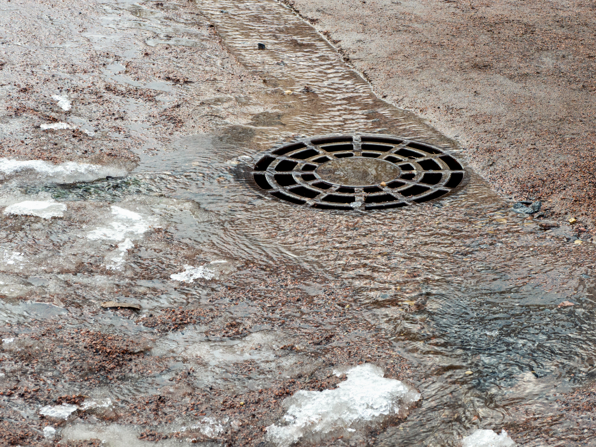 Common Causes of Blocked Drains and How to Prevent Them Common Causes of Blocked Drains and How to Prevent Them