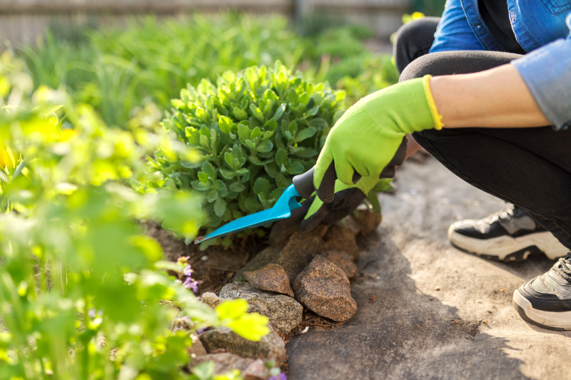 Garden Waste Removal Truro And Cornwall