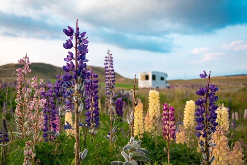 Why Choose a Motorhome Holiday