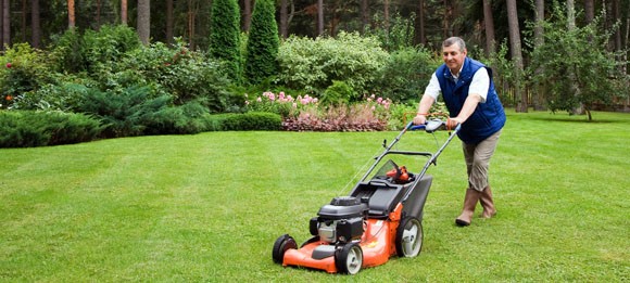 lawnmower mnaintenance