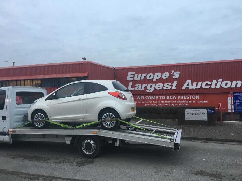 White Ford KA Collection