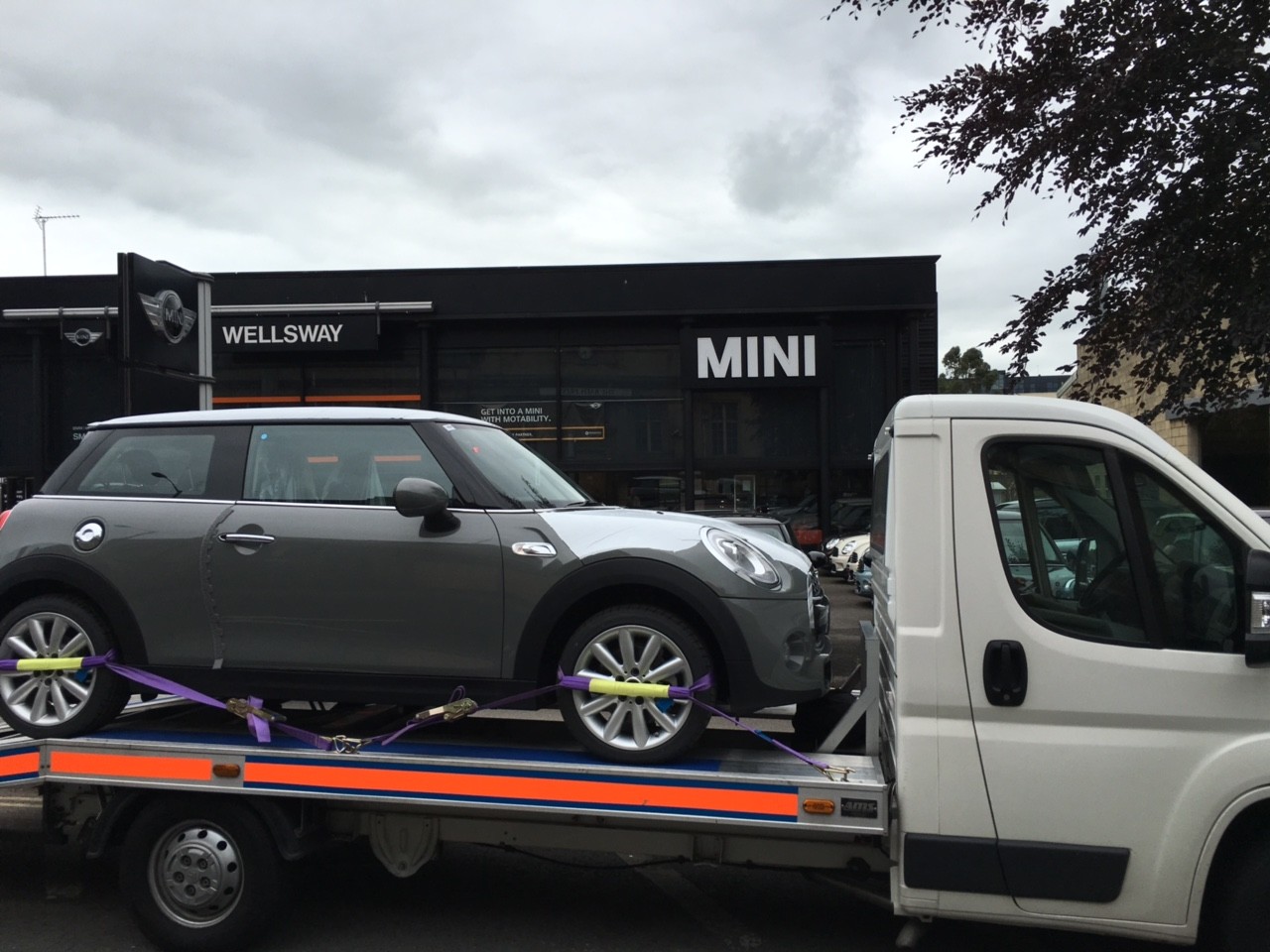 Brand New Mini Delivery