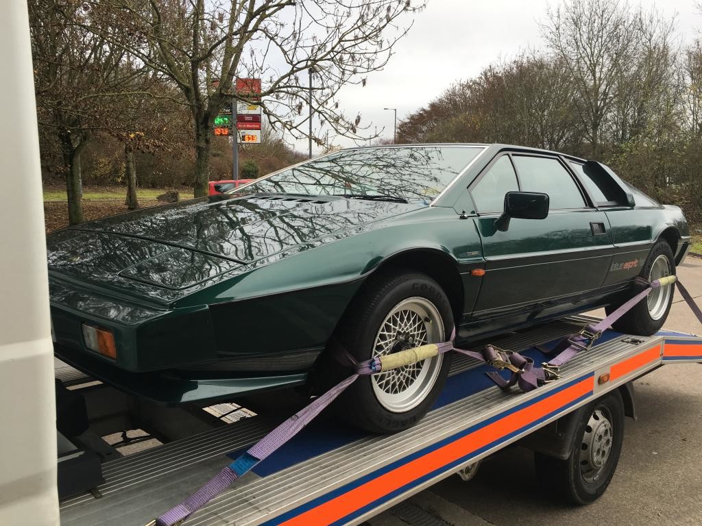 Lotus Esprit Classic Car Collection