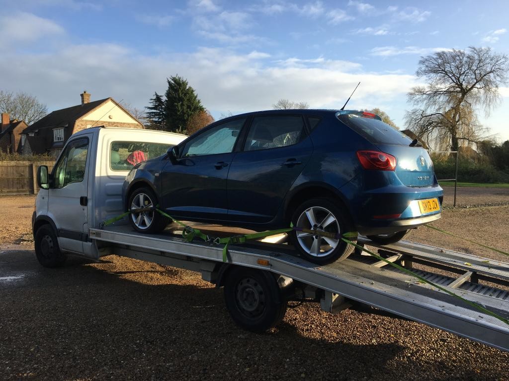 Seat Ibiza Car Collection