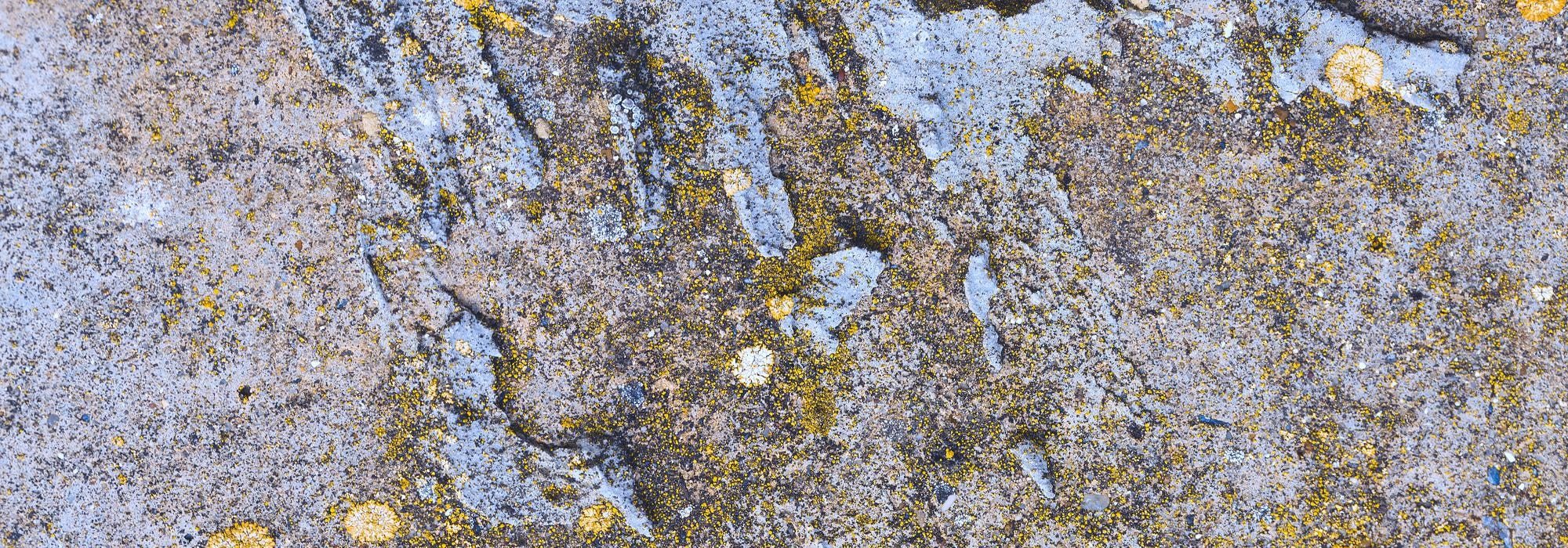 What is Asbestosis?