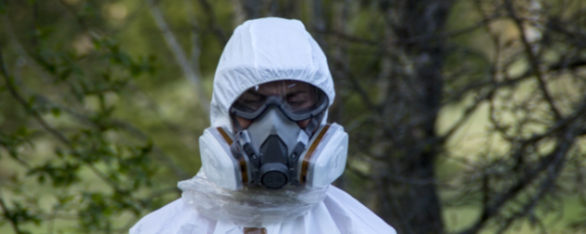 Who Is Responsible For Asbestos Safety