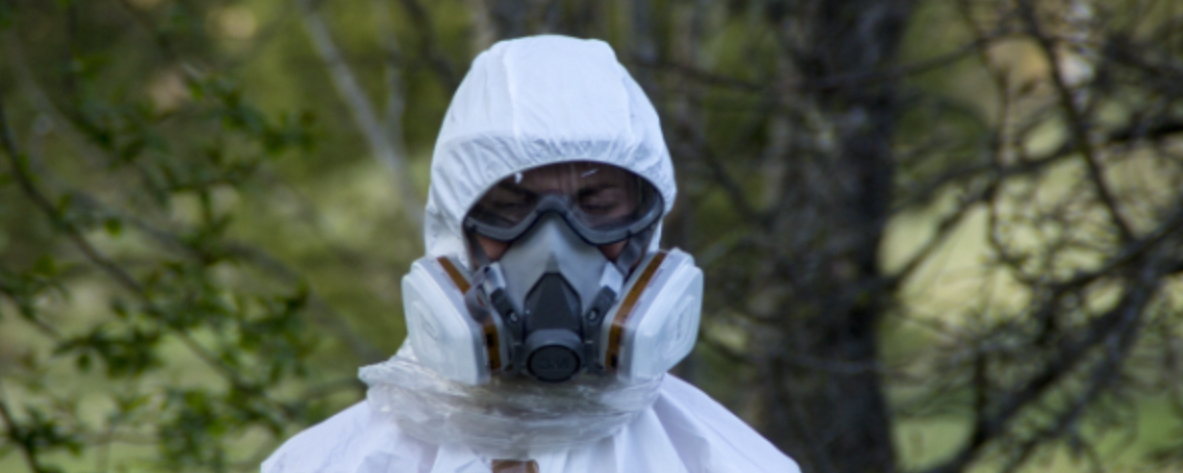 Who Is Responsible For Asbestos Safety Who Is Responsible For Asbestos Safety