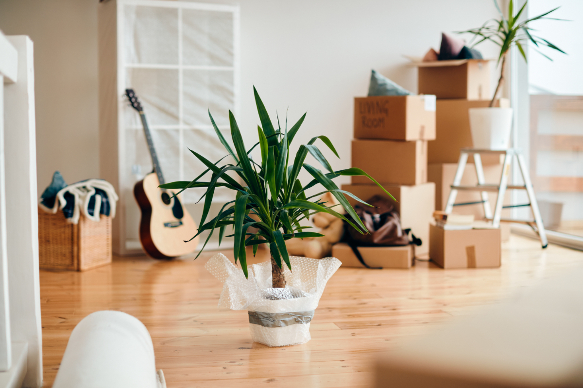 How To Save Money When Moving House