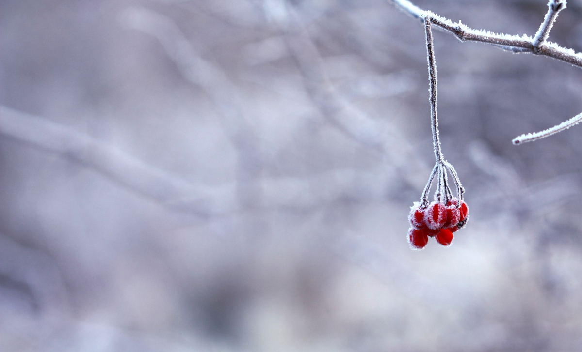 Winter Care Tips For Your Caravan Winter Care Tips For Your Caravan