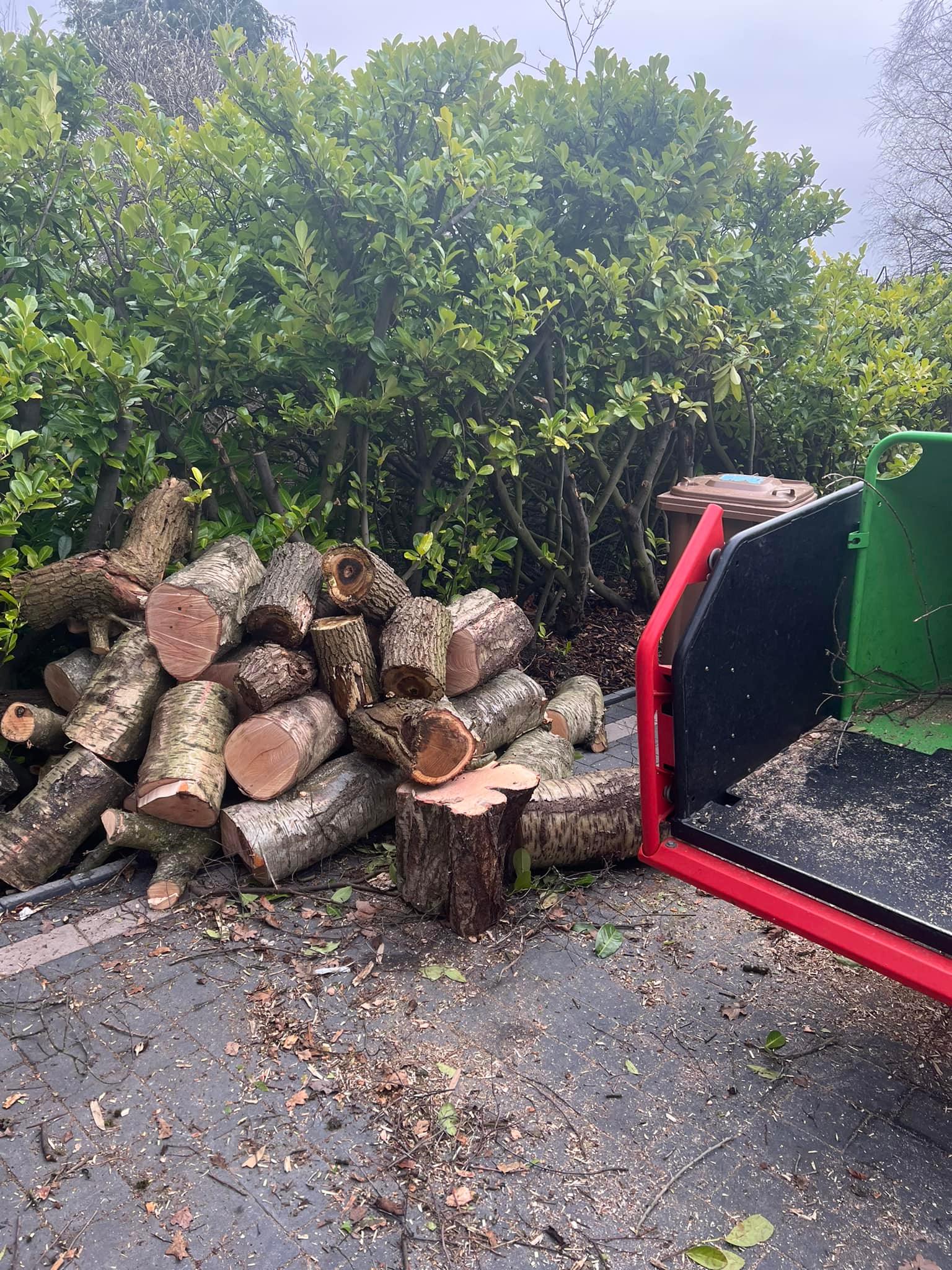 Russells Hall Tree Removal Services
