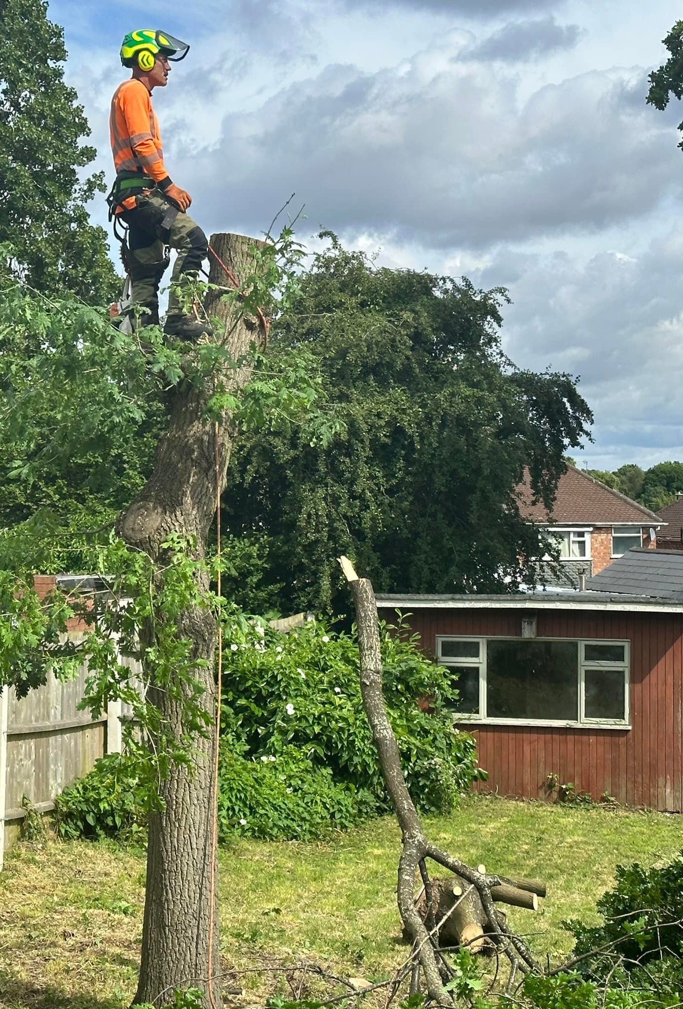 Russells Hall Tree Surgery Near Me | Tree Removal in Russells Hall