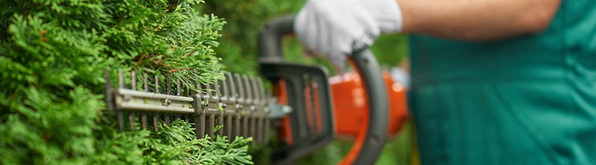 Hedge Trimming Advice and Tips Hedge Trimming Advice and Tips