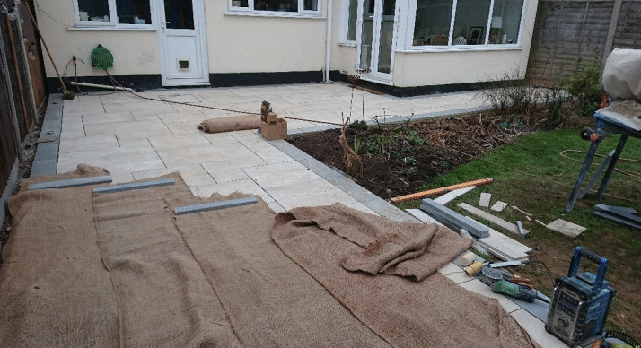Back Garden - Bearsteed
