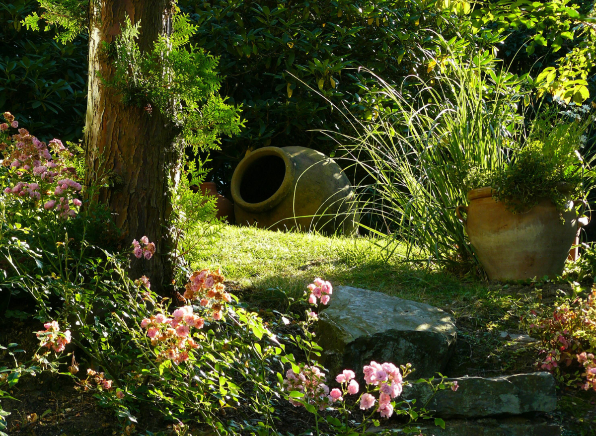 Making Your Garden More Interesting Making Your Garden More Interesting