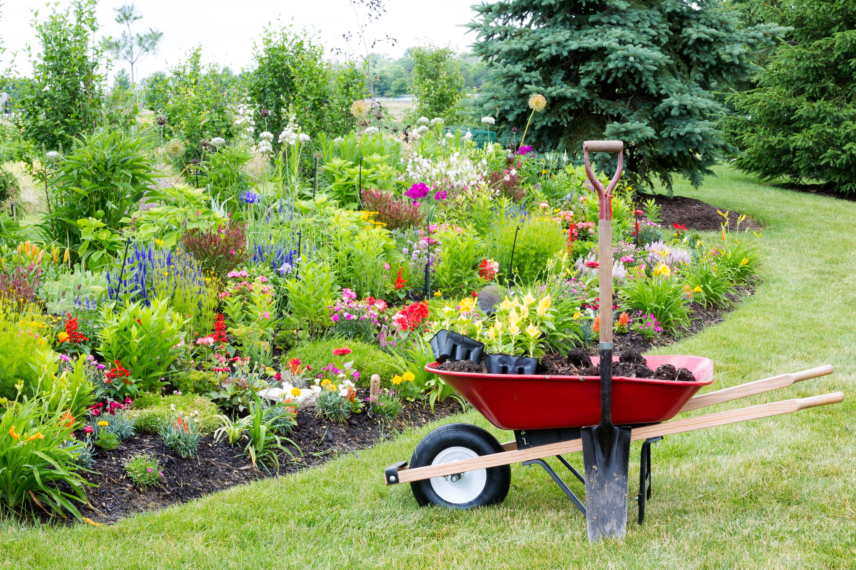 Planting Summer Vegetables Planting Summer Vegetables
