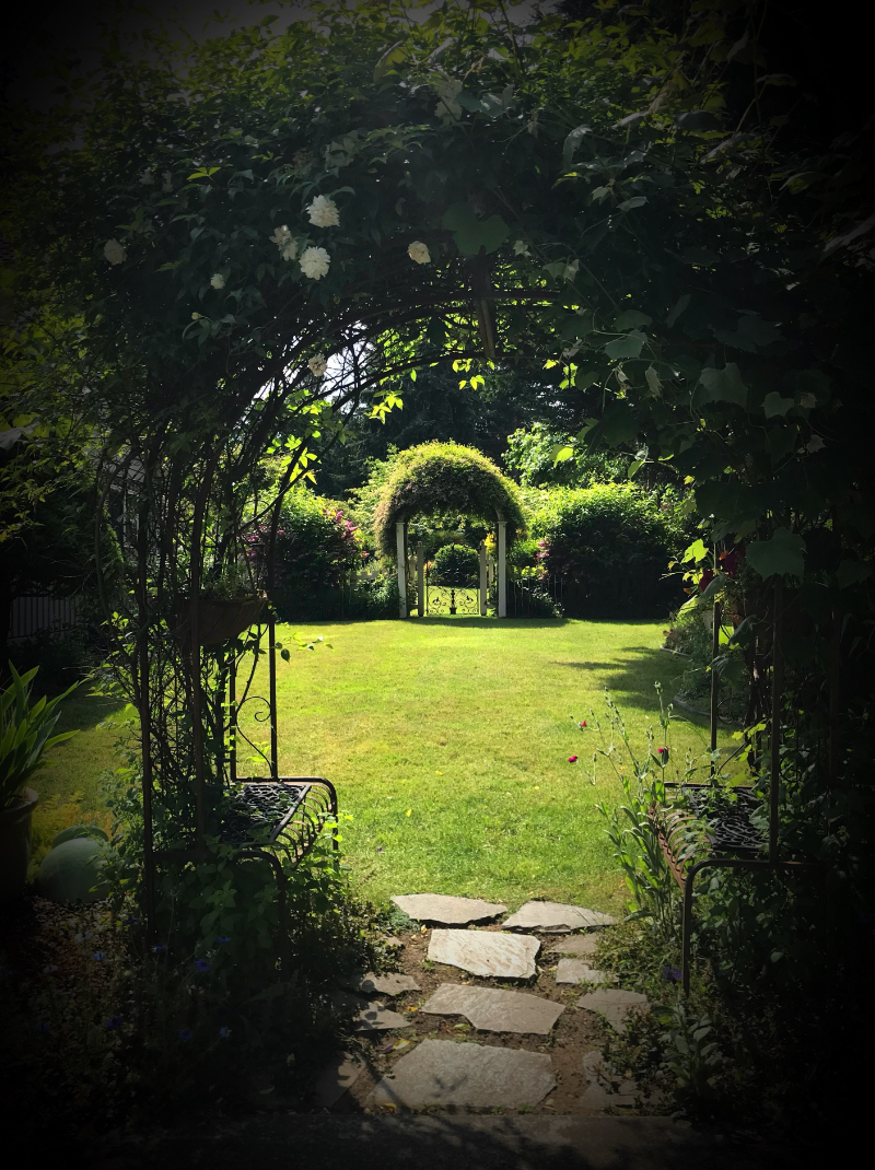 Planning Soft Scaping