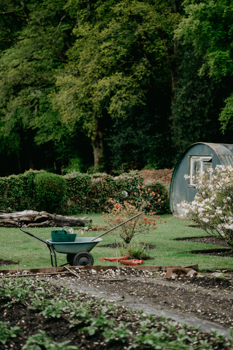 Soft Landscaping tips and advice