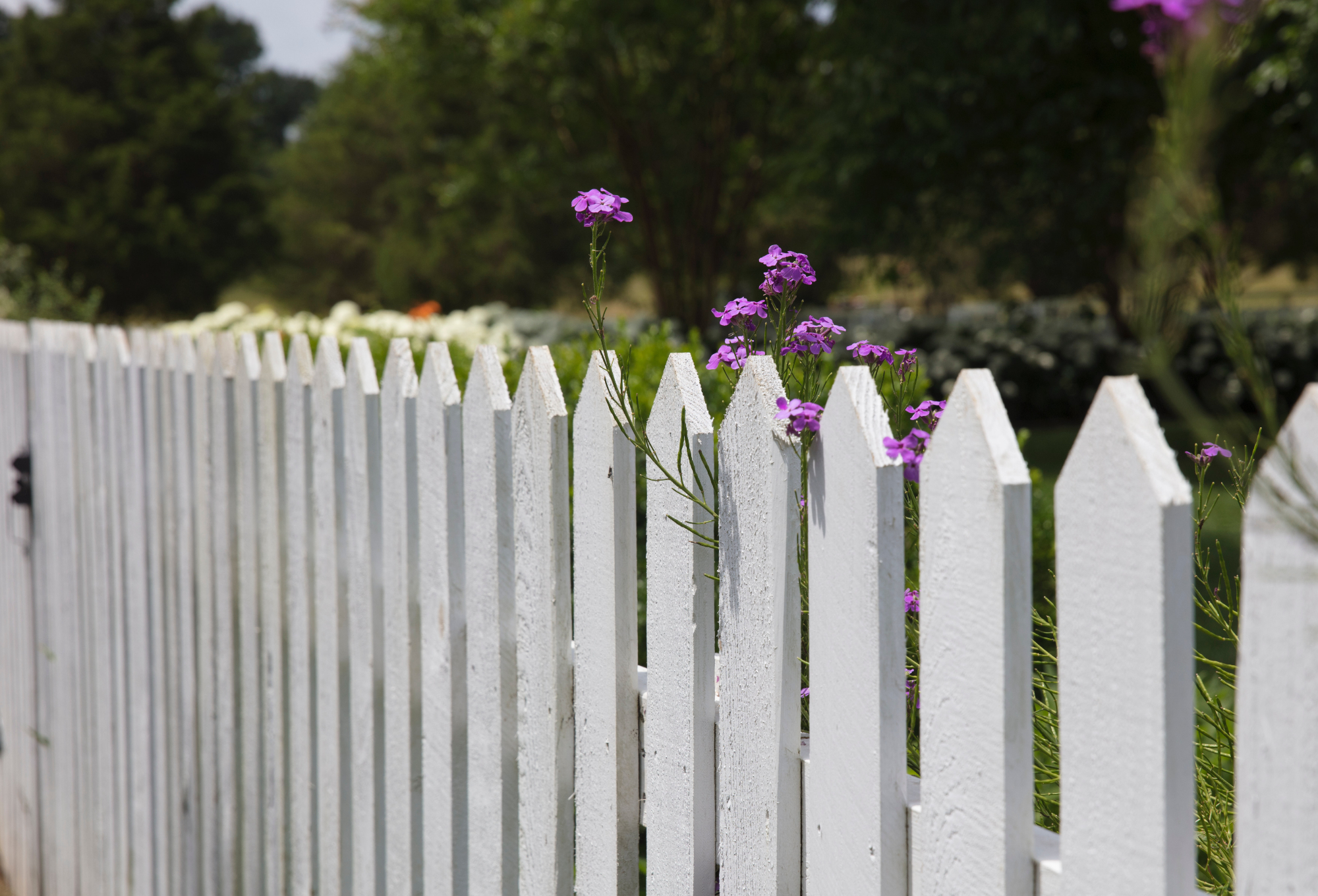 How to Repair a Wooden Fence